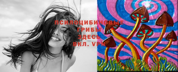 бошки Абинск