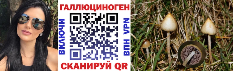 Галлюциногенные грибы Psilocybine cubensis  как найти закладки  Уфа 