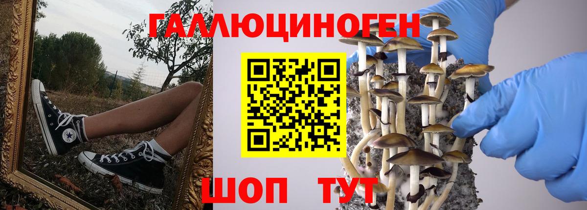 Уфа  Псилоцибиновые грибы ЛСД  Вход с VPN 